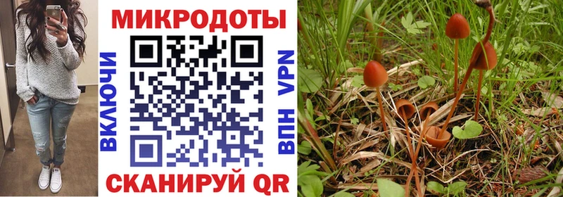 Псилоцибиновые грибы мицелий  магазин  наркотиков  Рязань 