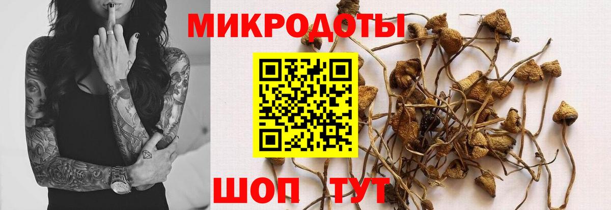 Галлюциногенные грибы Magic Shrooms  Вход с VPN  Псилоцибиновые грибы Psilocybine cubensis  Рязань 